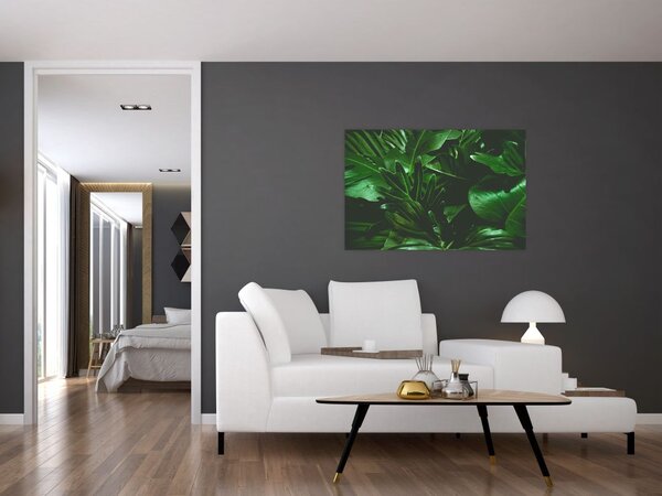 Slika - Lišće palme (90x60 cm)