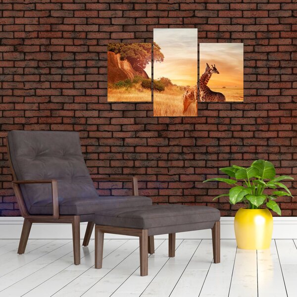Slika - Žirafe u Africi (90x60 cm)