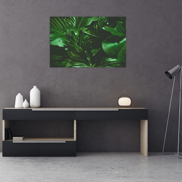 Slika - Lišće palme (90x60 cm)