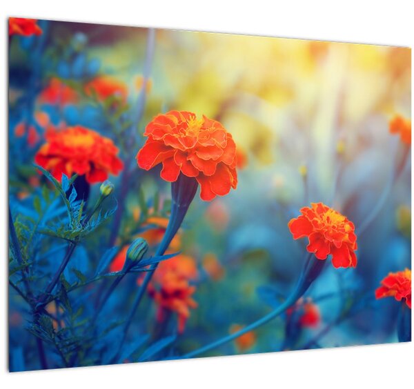 Slika - Narančasti cvjetovi (70x50 cm)