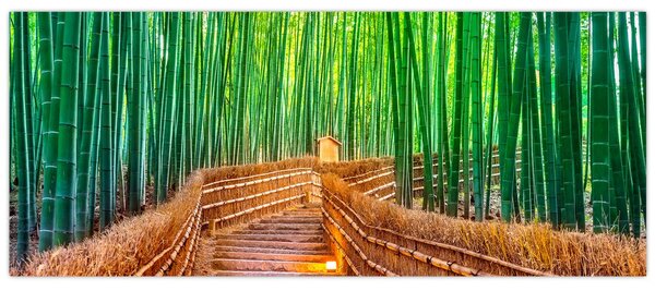 Slika - Šuma japanskog bambusa (120x50 cm)