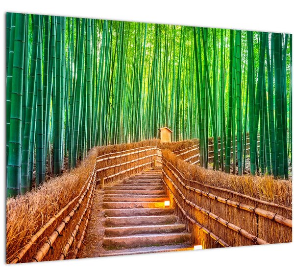 Slika - Šuma japanskog bambusa (70x50 cm)