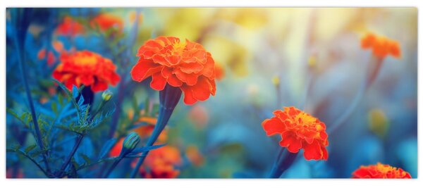 Slika - Narančasti cvjetovi (120x50 cm)
