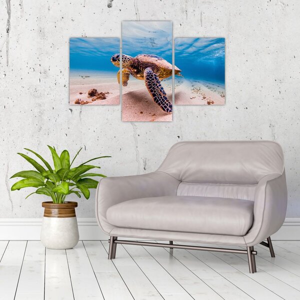 Slika - Kornjača u oceanu (90x60 cm)