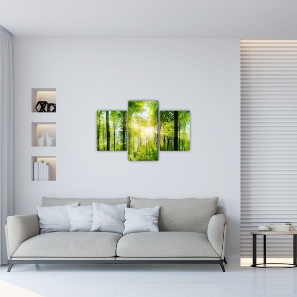 Slika - Zora u šumi (90x60 cm)