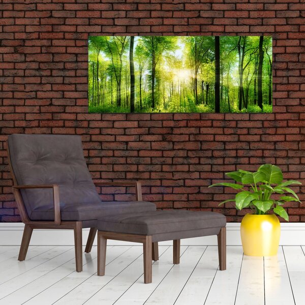 Slika - Zora u šumi (120x50 cm)