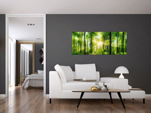 Slika - Zora u šumi (120x50 cm)