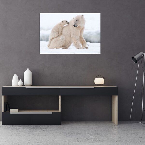 Slika - Polarni medvjedi (90x60 cm)