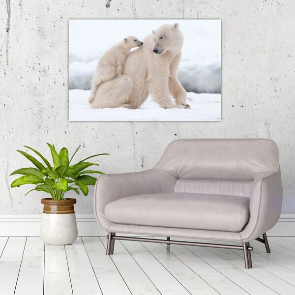 Slika - Polarni medvjedi (90x60 cm)