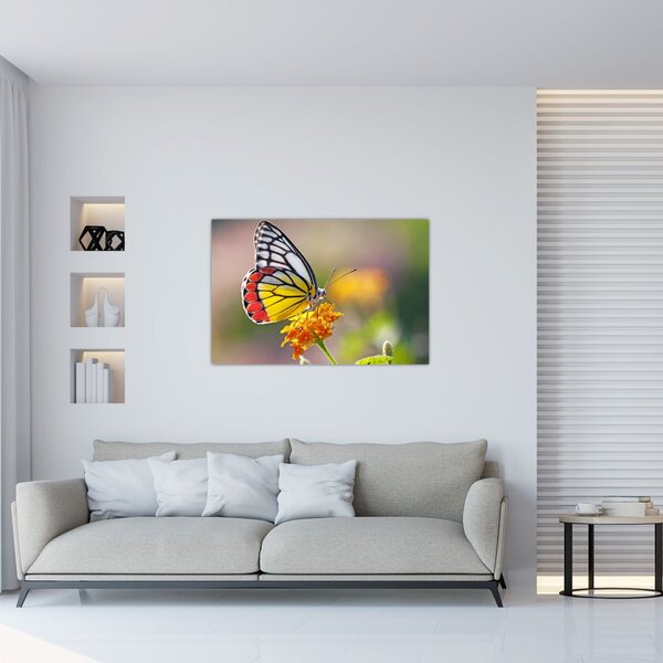 Slika - Leptir na cvijetu (90x60 cm)