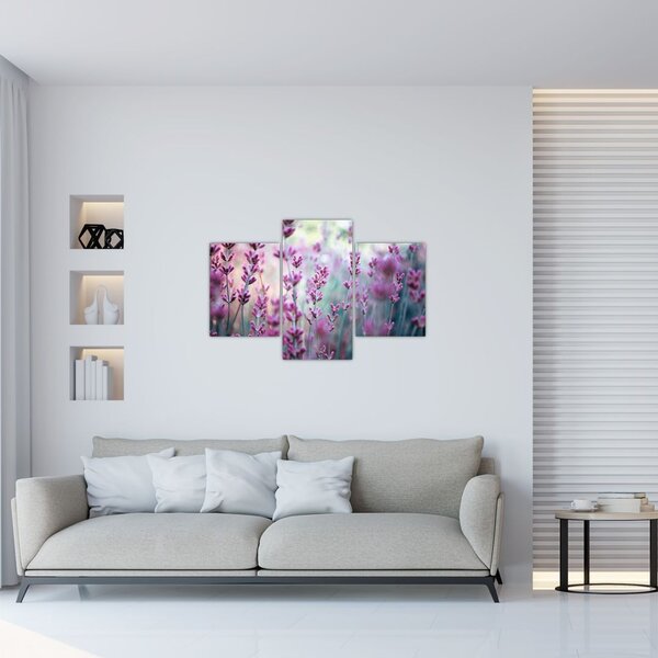 Slika - Lavanda (90x60 cm)