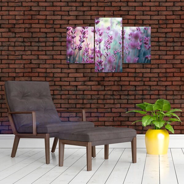 Slika - Lavanda (90x60 cm)