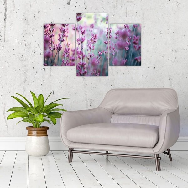 Slika - Lavanda (90x60 cm)