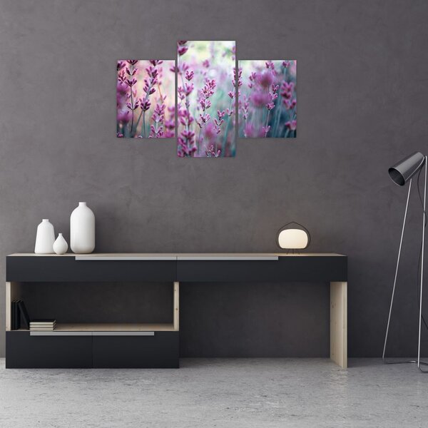 Slika - Lavanda (90x60 cm)