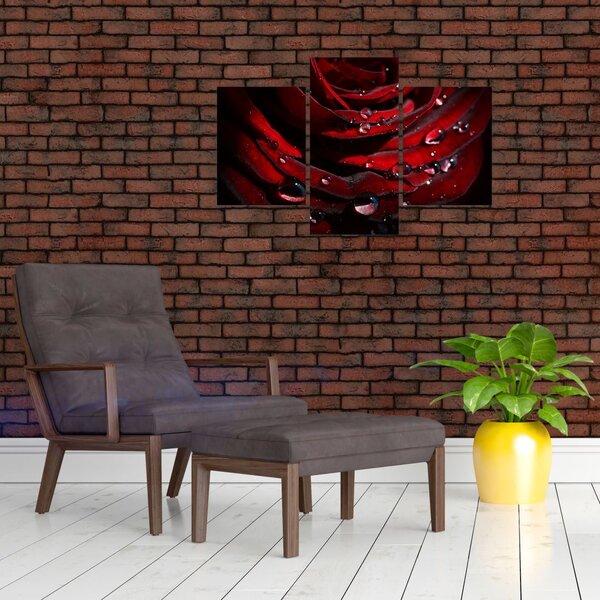 Slika - Detalj ruže (90x60 cm)