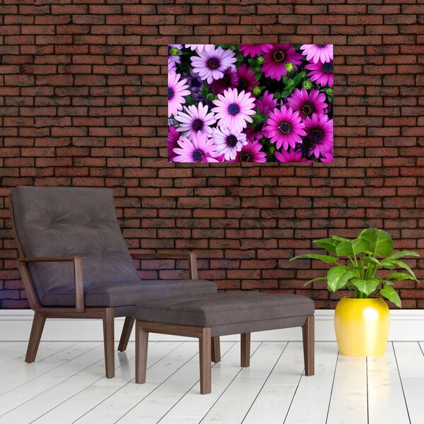 Slika - Cvijeće (70x50 cm)