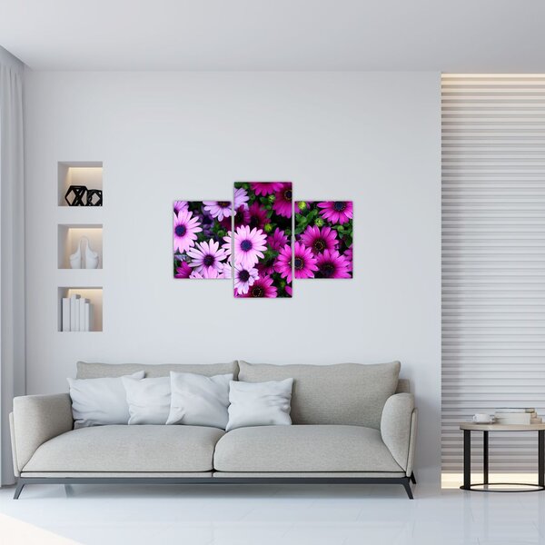 Slika - Cvijeće (90x60 cm)