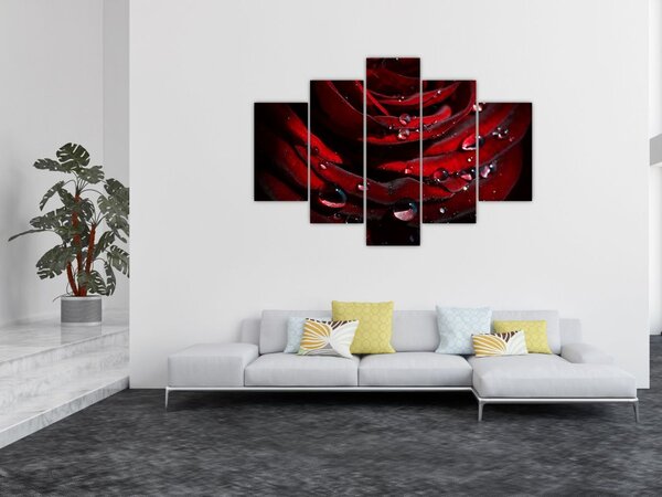 Slika - Detalj ruže (150x105 cm)