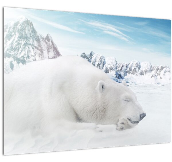 Staklena slika - Polarni medvjed (70x50 cm)