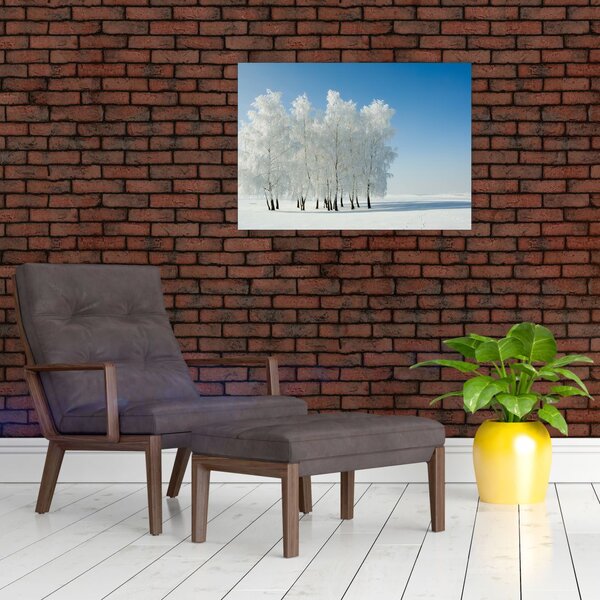 Slika - Snježni krajolik (70x50 cm)