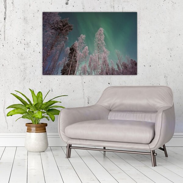 Slika polarne svjetlosti nad zaleđenim drvećem (90x60 cm)