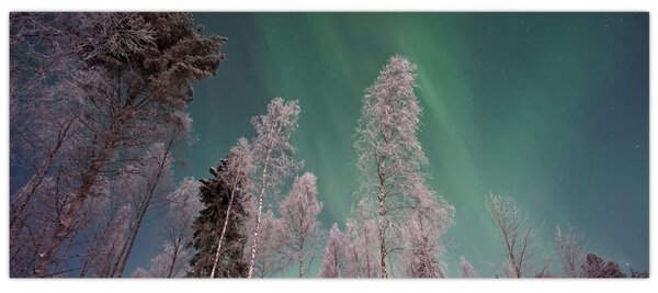 Slika polarne svjetlosti nad zaleđenim drvećem (120x50 cm)