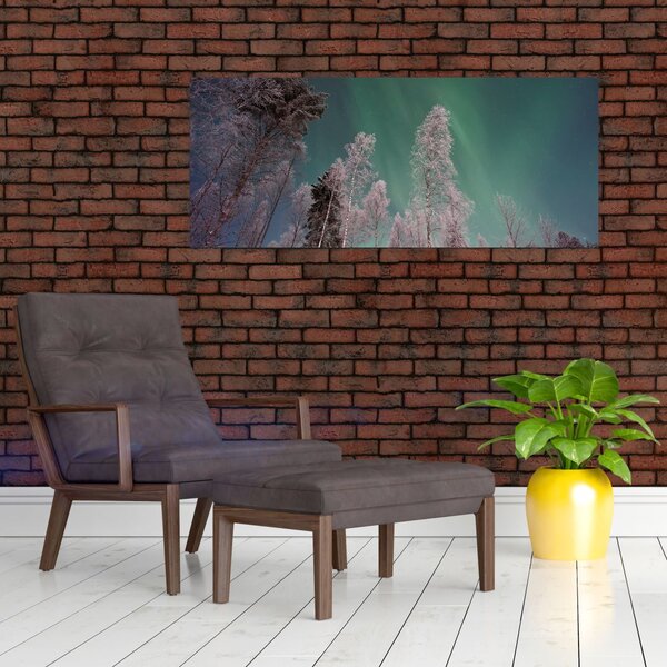 Slika polarne svjetlosti nad zaleđenim drvećem (120x50 cm)