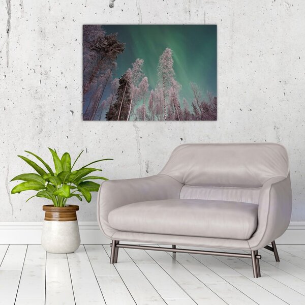 Slika polarne svjetlosti nad zaleđenim drvećem (70x50 cm)