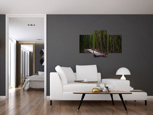 Slika - Između bambusa (90x60 cm)