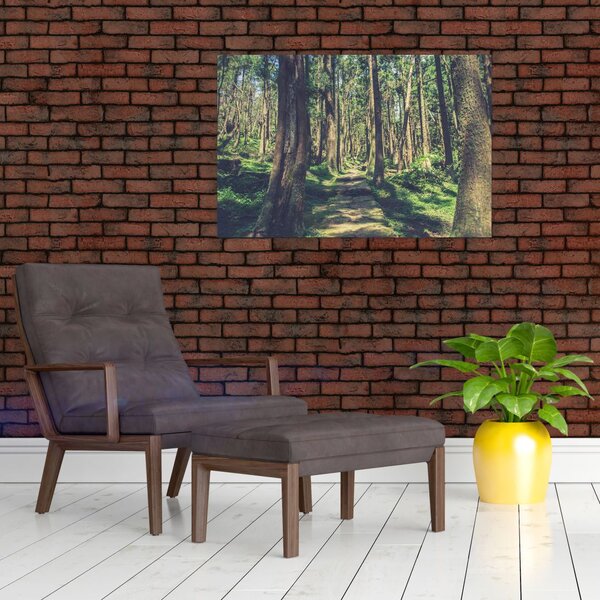 Slika staze između drveća (90x60 cm)