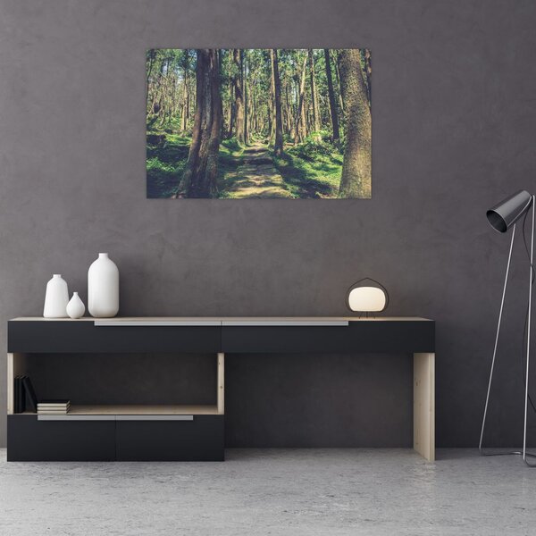Slika staze između drveća (90x60 cm)