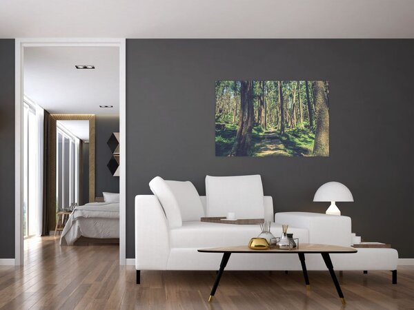 Slika staze između drveća (90x60 cm)