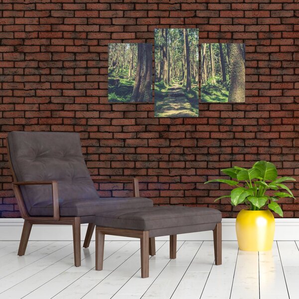 Slika staze između drveća (90x60 cm)