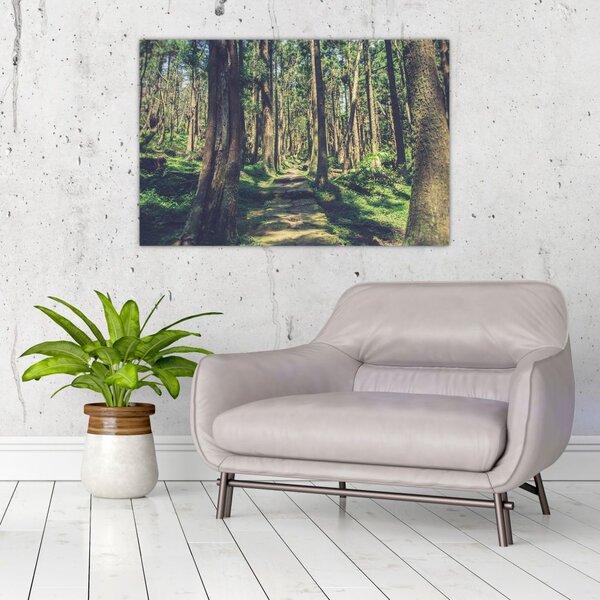 Slika staze između drveća (90x60 cm)