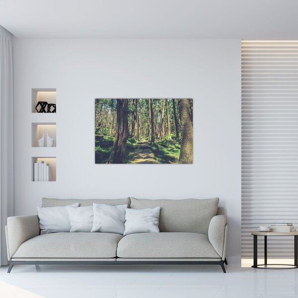Slika staze između drveća (90x60 cm)