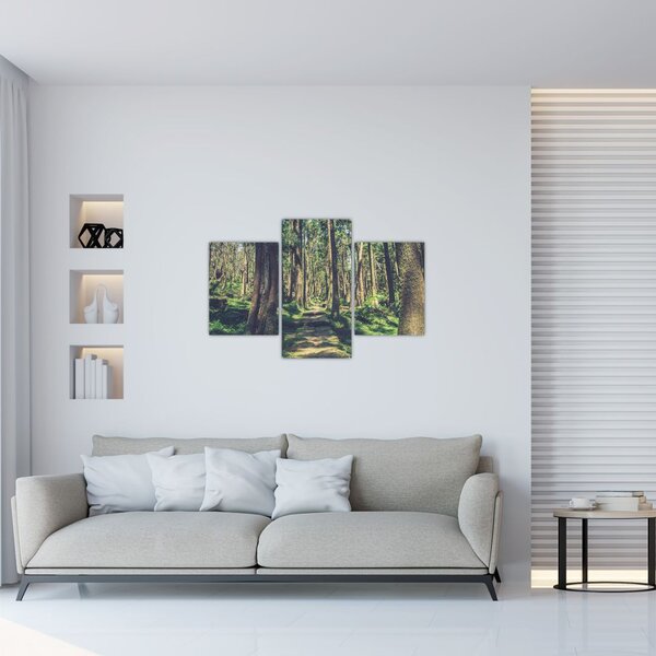 Slika staze između drveća (90x60 cm)