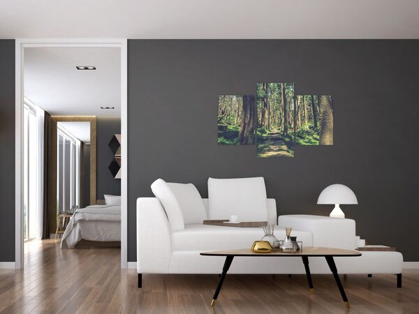 Slika staze između drveća (90x60 cm)