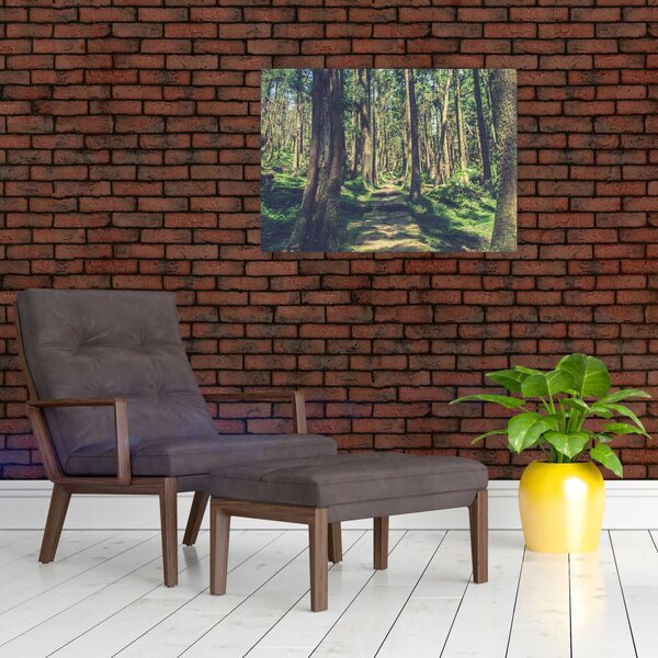 Slika staze između drveća (70x50 cm)