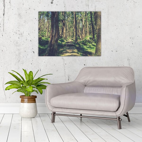 Slika staze između drveća (70x50 cm)