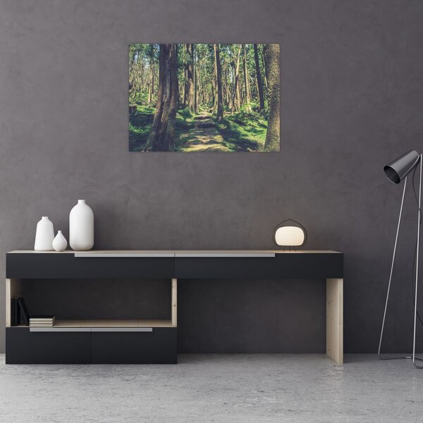 Slika staze između drveća (70x50 cm)