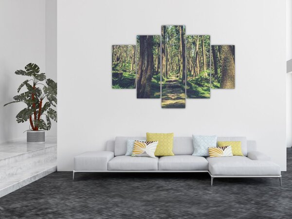 Slika staze između drveća (150x105 cm)