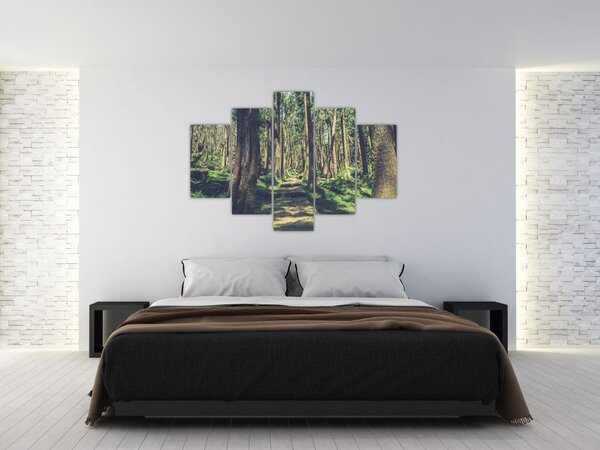 Slika staze između drveća (150x105 cm)