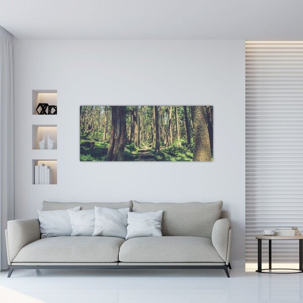 Slika staze između drveća (120x50 cm)