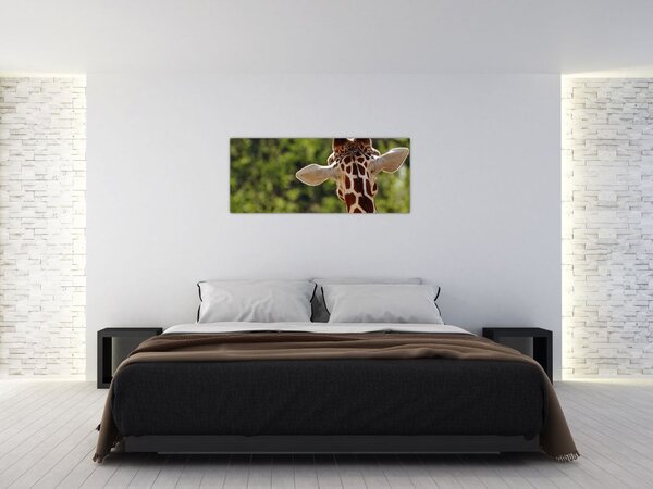 Slika žirafe s leđa (120x50 cm)