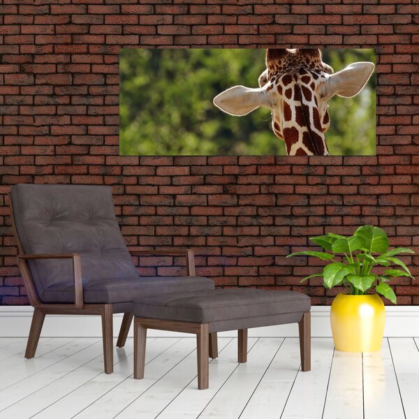 Slika žirafe s leđa (120x50 cm)
