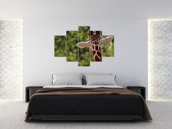 Slika žirafe s leđa (150x105 cm)