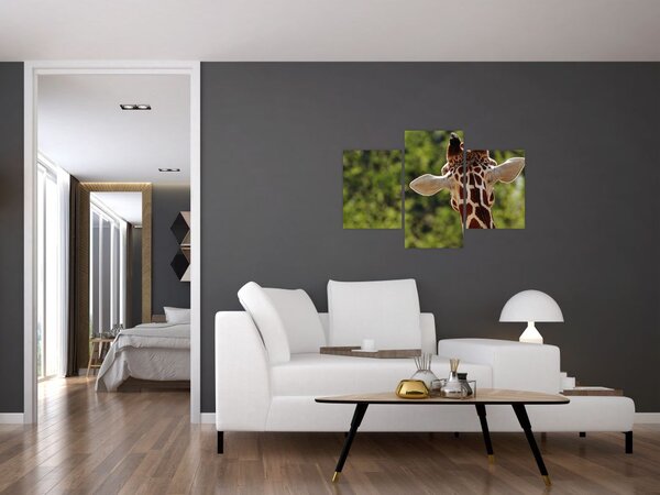 Slika žirafe s leđa (90x60 cm)