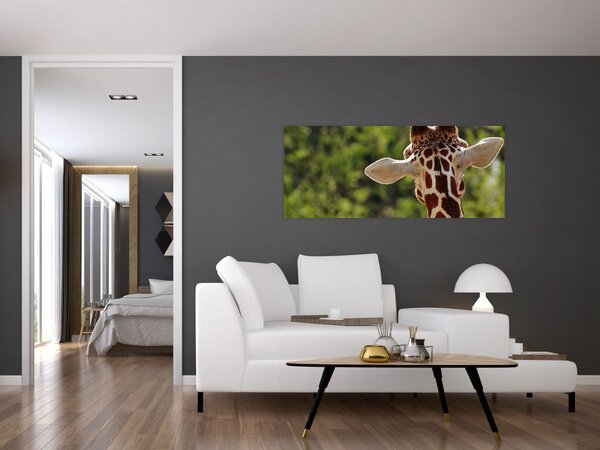 Slika žirafe s leđa (120x50 cm)
