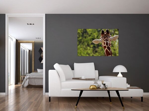 Slika žirafe s leđa (90x60 cm)
