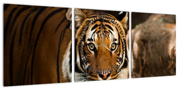 Slika tigra (sa satom) (90x30 cm)